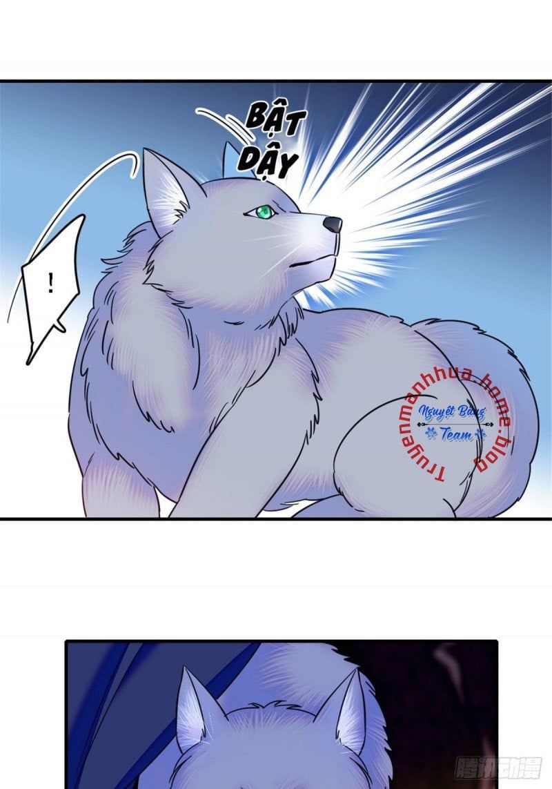 đọc truyện Mau Chạy !! Nam Thần Thú Thế Đến Truy Thê Chương 50 ảnh 9 tại Thiên Thai Truyện