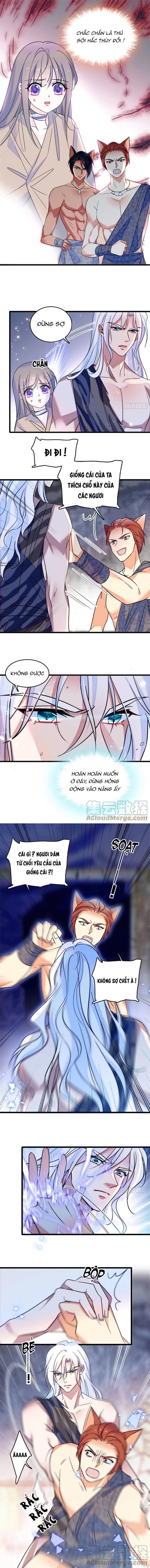 đọc truyện Mau Chạy !! Nam Thần Thú Thế Đến Truy Thê Chương 59 ảnh 3 tại Thiên Thai Truyện