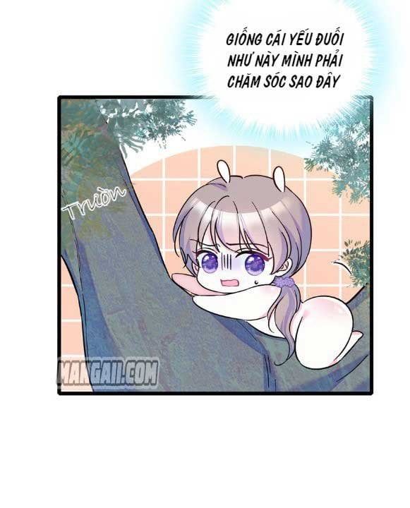 đọc truyện Mau Chạy !! Nam Thần Thú Thế Đến Truy Thê Chương 6 ảnh 12 tại Thiên Thai Truyện