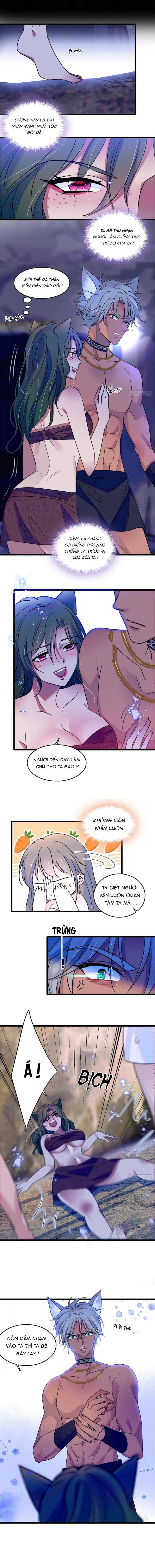 đọc truyện Mau Chạy !! Nam Thần Thú Thế Đến Truy Thê Chương 60 ảnh 6 tại Thiên Thai Truyện