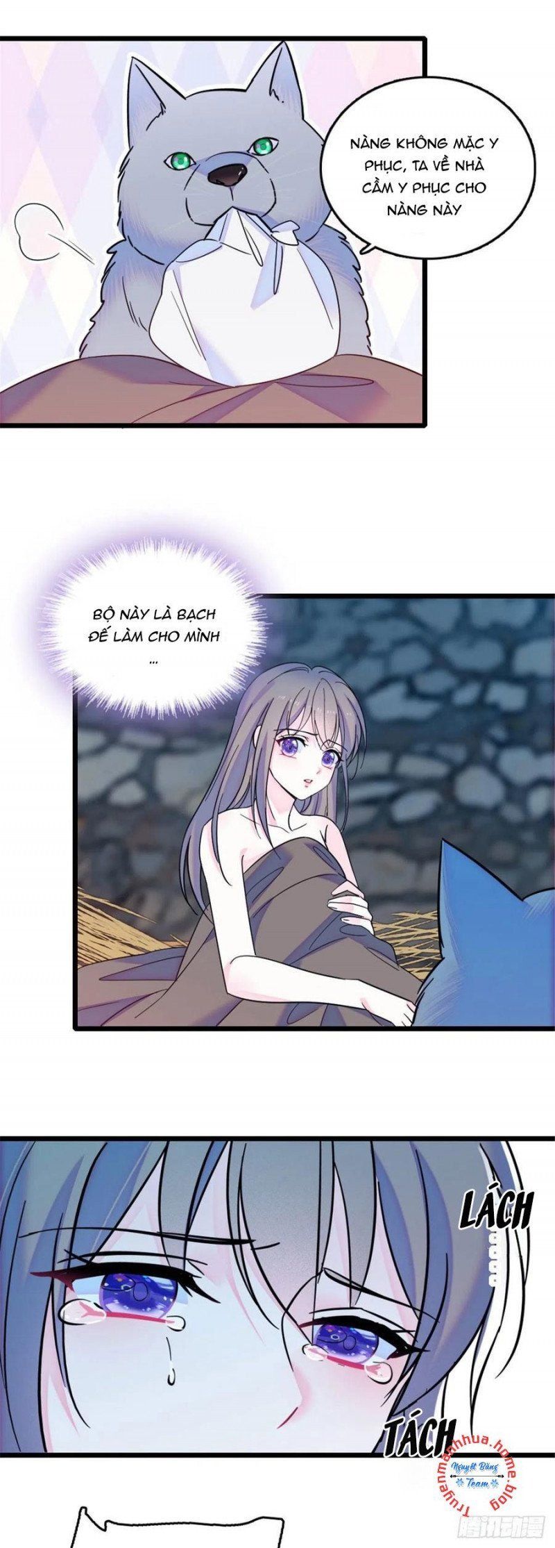 đọc truyện Mau Chạy !! Nam Thần Thú Thế Đến Truy Thê Chương 68 ảnh 7 tại Thiên Thai Truyện