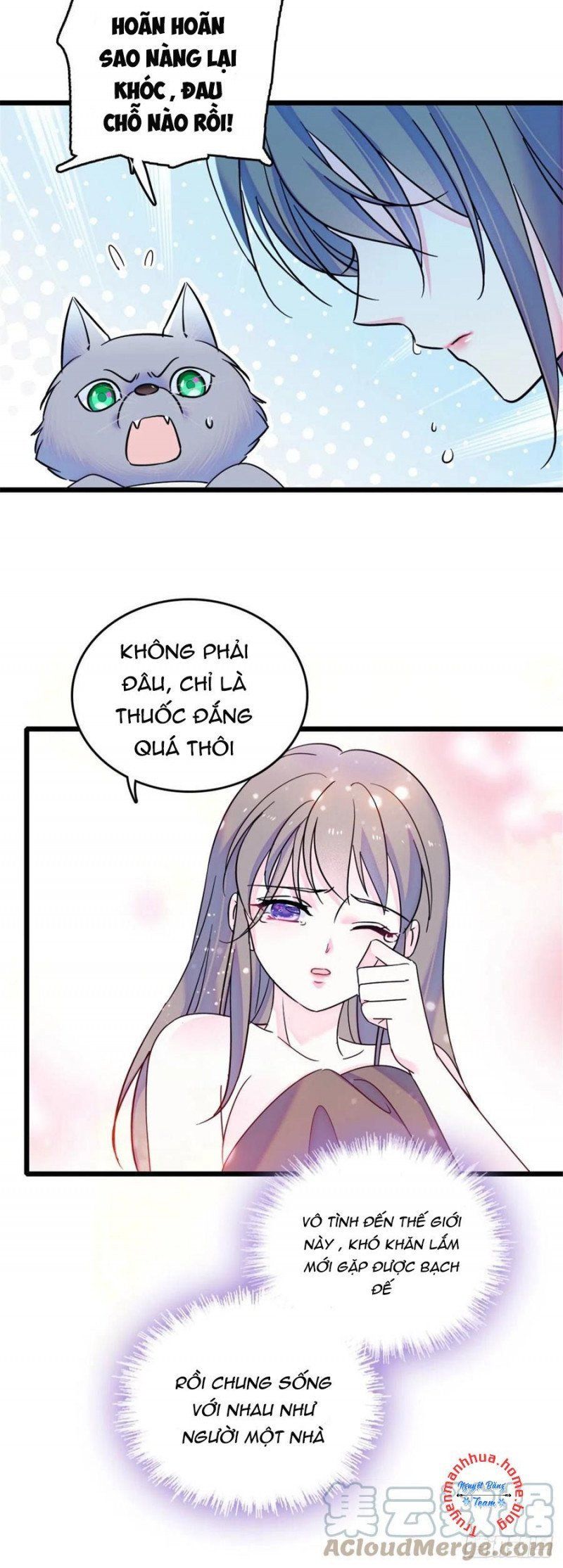 đọc truyện Mau Chạy !! Nam Thần Thú Thế Đến Truy Thê Chương 68 ảnh 8 tại Thiên Thai Truyện