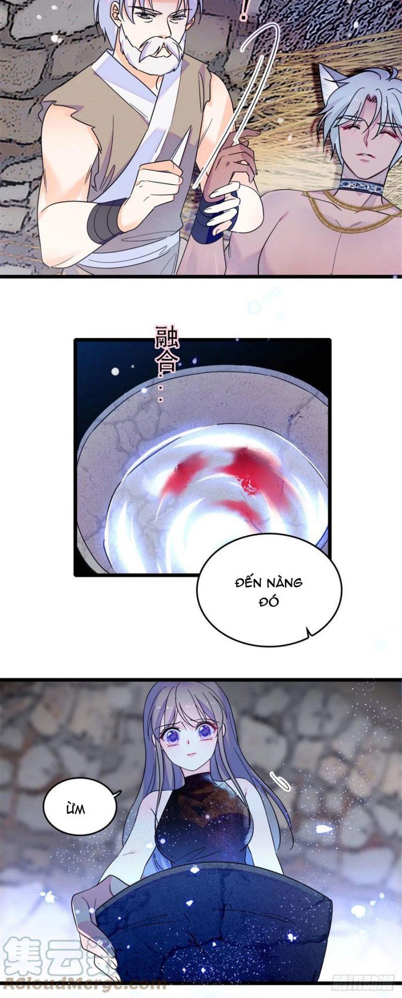 đọc truyện Mau Chạy !! Nam Thần Thú Thế Đến Truy Thê Chương 76 ảnh 12 tại Thiên Thai Truyện