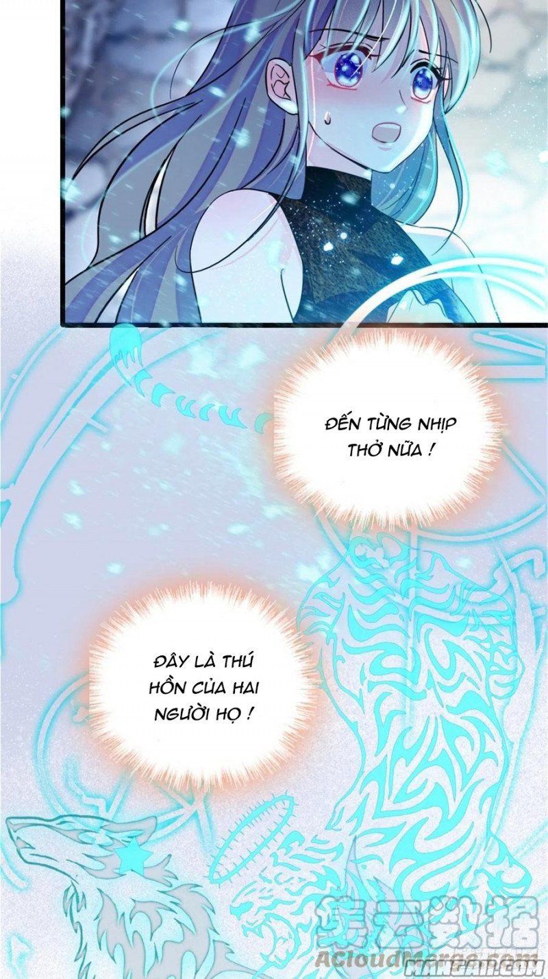 đọc truyện Mau Chạy !! Nam Thần Thú Thế Đến Truy Thê Chương 77 ảnh 14 tại Thiên Thai Truyện