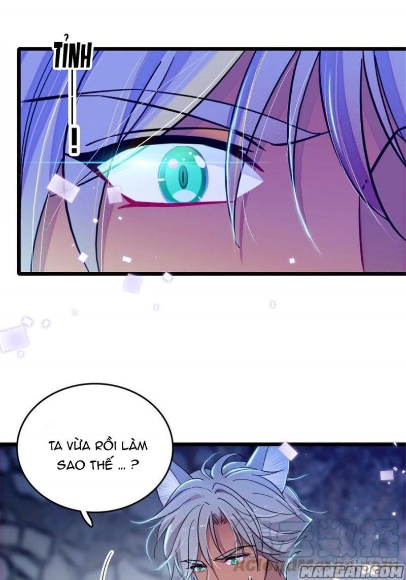 đọc truyện Mau Chạy !! Nam Thần Thú Thế Đến Truy Thê Chương 77 ảnh 16 tại Thiên Thai Truyện