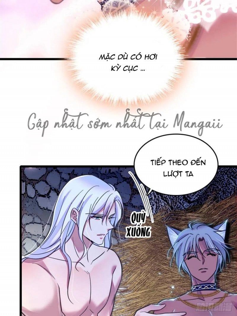 đọc truyện Mau Chạy !! Nam Thần Thú Thế Đến Truy Thê Chương 77 ảnh 11 tại Thiên Thai Truyện