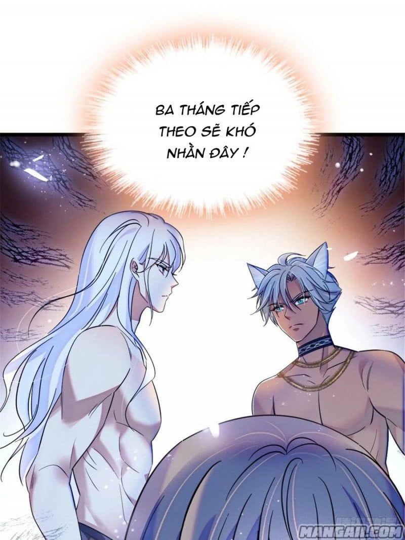 đọc truyện Mau Chạy !! Nam Thần Thú Thế Đến Truy Thê Chương 78 ảnh 24 tại Thiên Thai Truyện