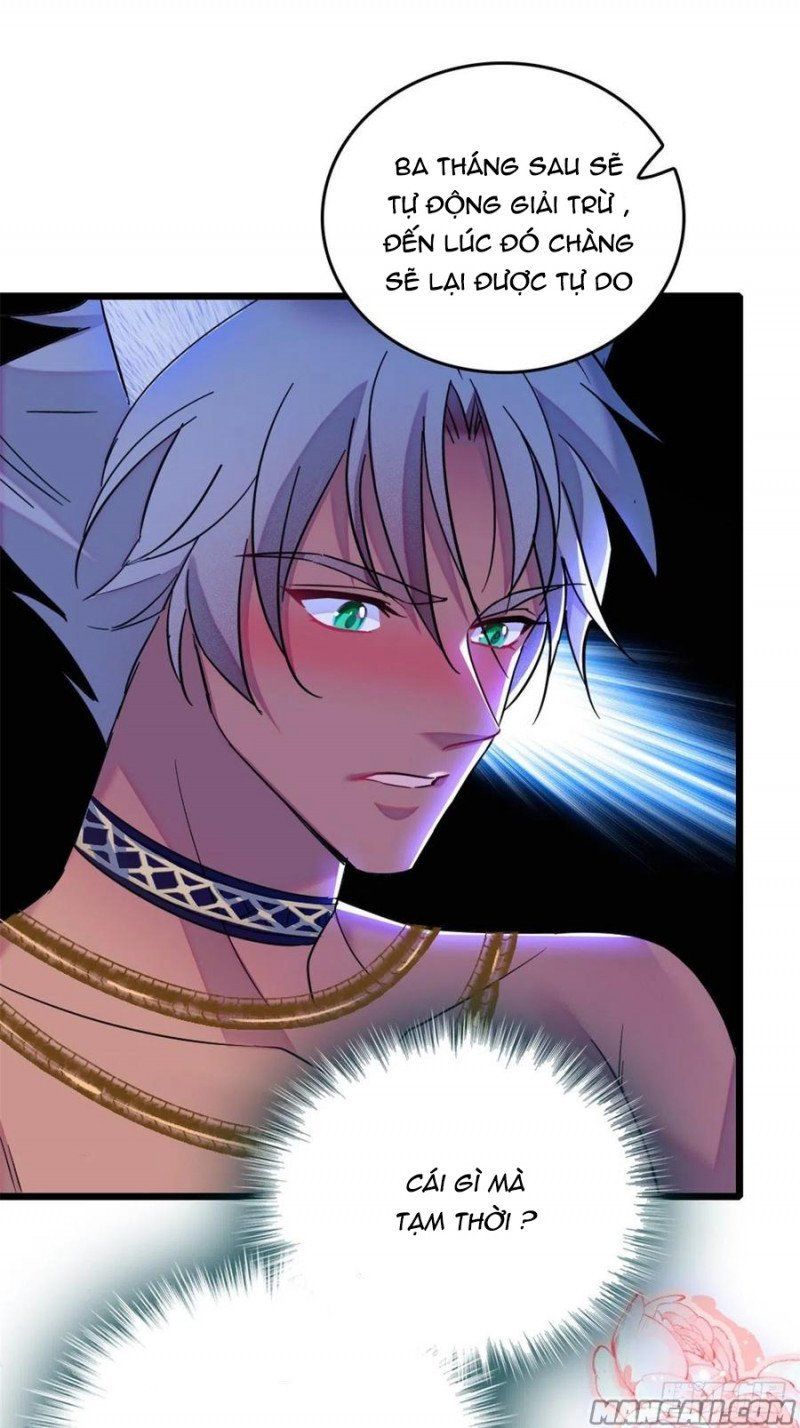 đọc truyện Mau Chạy !! Nam Thần Thú Thế Đến Truy Thê Chương 79 ảnh 12 tại Thiên Thai Truyện