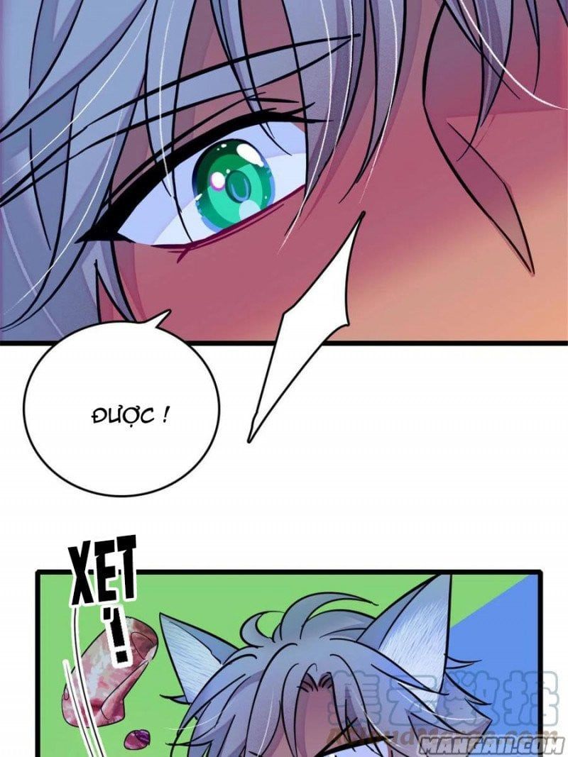 đọc truyện Mau Chạy !! Nam Thần Thú Thế Đến Truy Thê Chương 81 ảnh 13 tại Thiên Thai Truyện