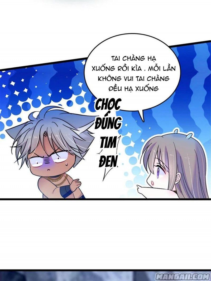 đọc truyện Mau Chạy !! Nam Thần Thú Thế Đến Truy Thê Chương 81 ảnh 9 tại Thiên Thai Truyện