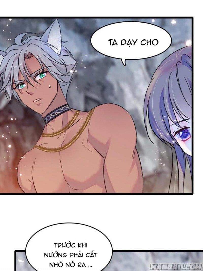 đọc truyện Mau Chạy !! Nam Thần Thú Thế Đến Truy Thê Chương 81 ảnh 11 tại Thiên Thai Truyện