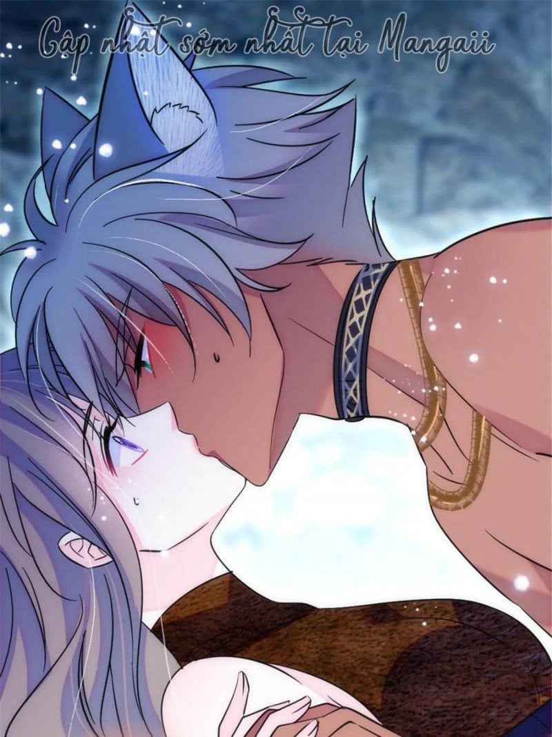 đọc truyện Mau Chạy !! Nam Thần Thú Thế Đến Truy Thê Chương 82 ảnh 22 tại Thiên Thai Truyện