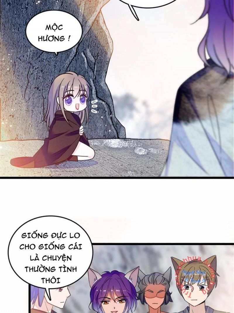 đọc truyện Mau Chạy !! Nam Thần Thú Thế Đến Truy Thê Chương 87 ảnh 27 tại Thiên Thai Truyện