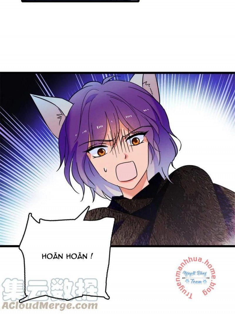 đọc truyện Mau Chạy !! Nam Thần Thú Thế Đến Truy Thê Chương 88 ảnh 17 tại Thiên Thai Truyện