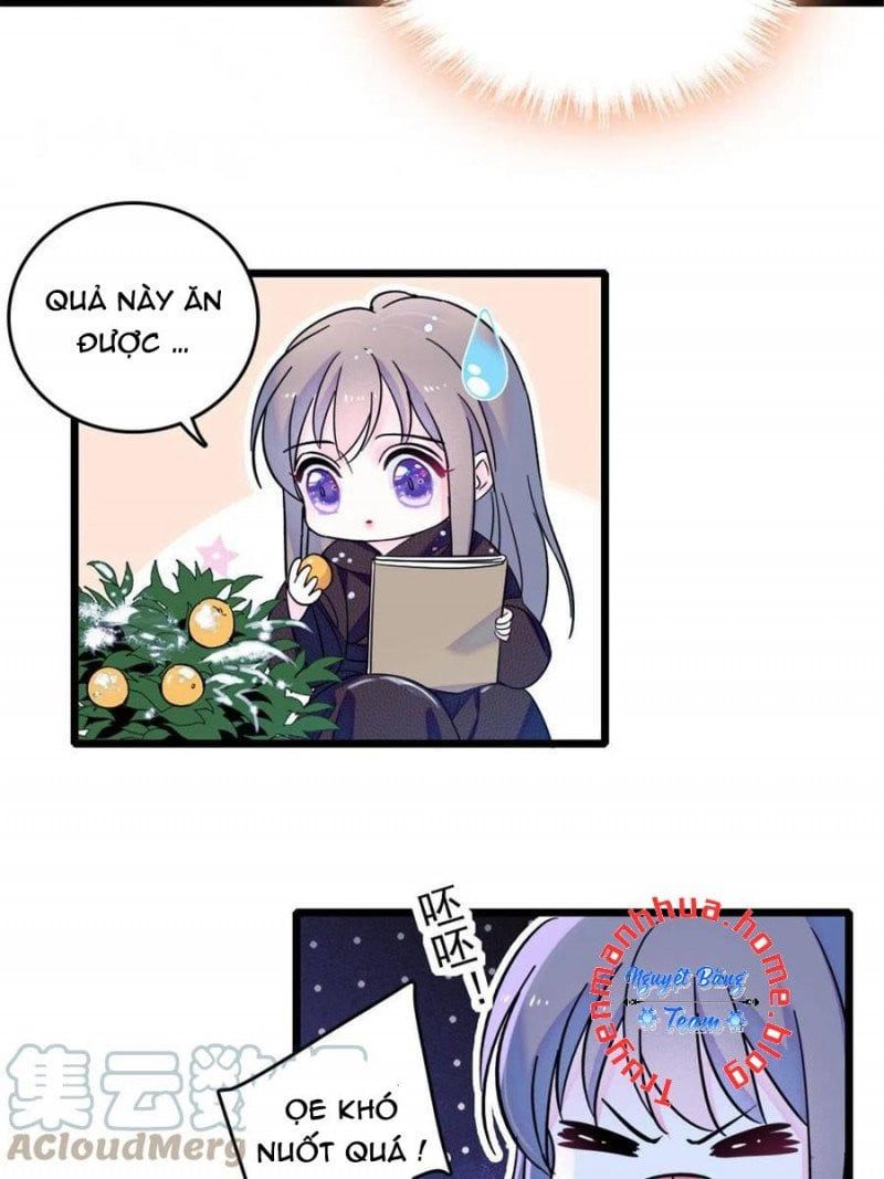 đọc truyện Mau Chạy !! Nam Thần Thú Thế Đến Truy Thê Chương 91 ảnh 16 tại Thiên Thai Truyện