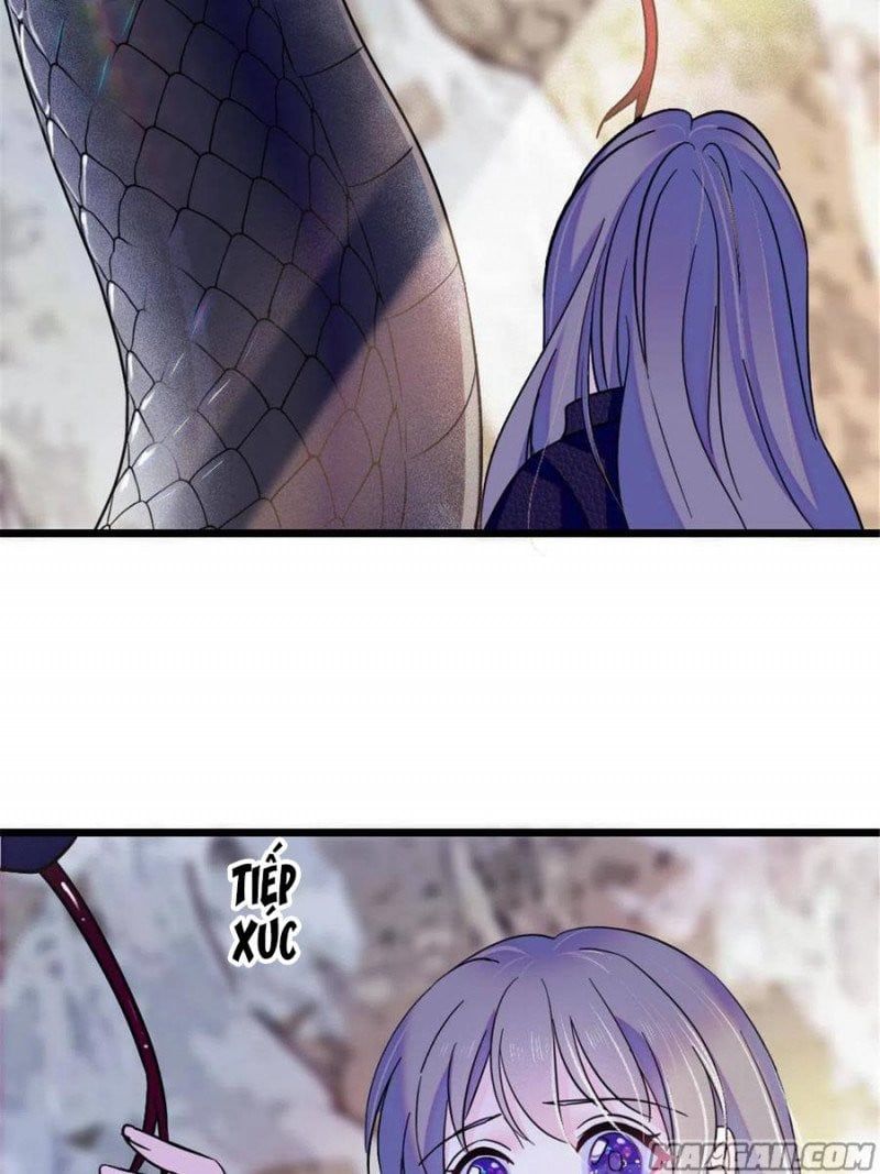 đọc truyện Mau Chạy !! Nam Thần Thú Thế Đến Truy Thê Chương 93 ảnh 17 tại Thiên Thai Truyện