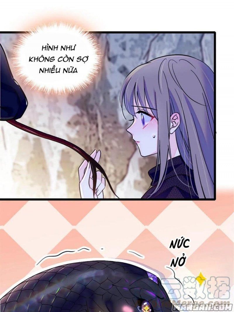 đọc truyện Mau Chạy !! Nam Thần Thú Thế Đến Truy Thê Chương 93 ảnh 19 tại Thiên Thai Truyện