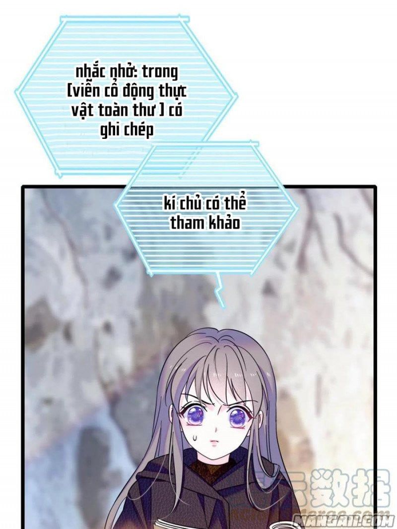 đọc truyện Mau Chạy !! Nam Thần Thú Thế Đến Truy Thê Chương 94 ảnh 15 tại Thiên Thai Truyện