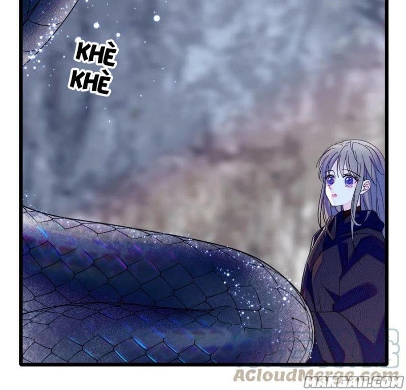 đọc truyện Mau Chạy !! Nam Thần Thú Thế Đến Truy Thê Chương 94 ảnh 6 tại Thiên Thai Truyện