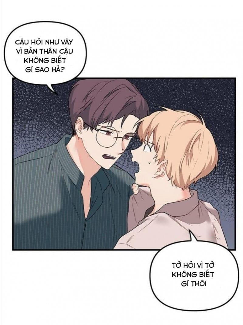 đọc truyện Máu Và Tình Yêu Chương 11 ảnh 5 tại Thiên Thai Truyện