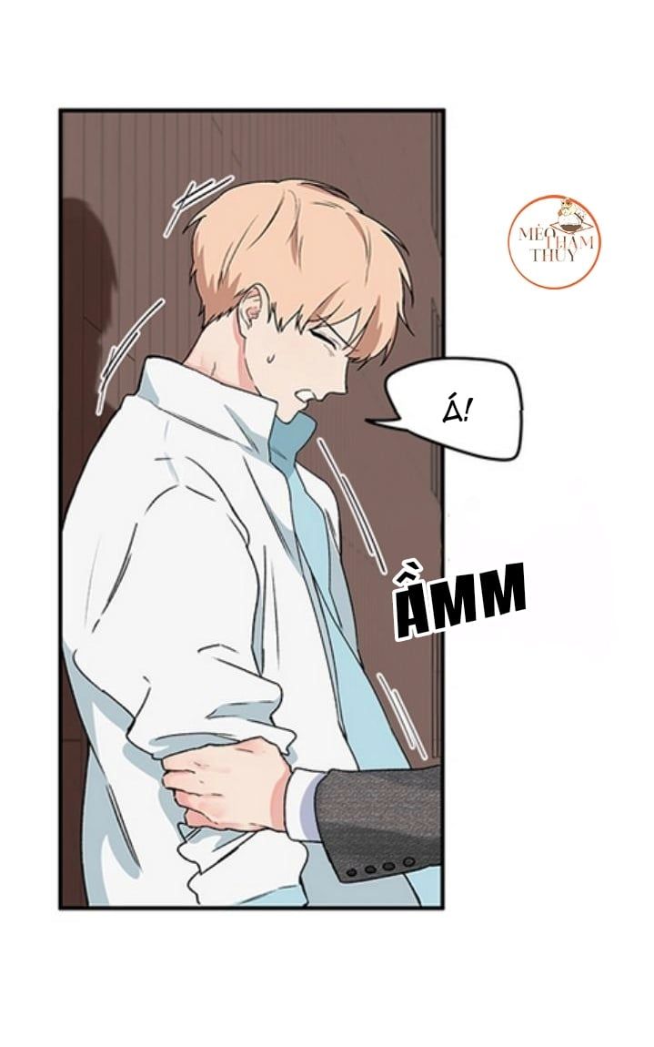 đọc truyện Máu Và Tình Yêu Chương 2 ảnh 49 tại Thiên Thai Truyện