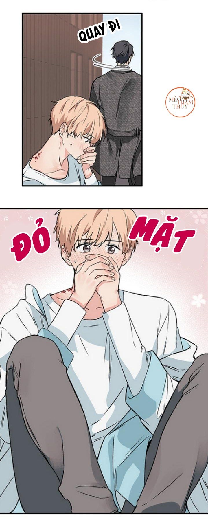 đọc truyện Máu Và Tình Yêu Chương 2 ảnh 66 tại Thiên Thai Truyện