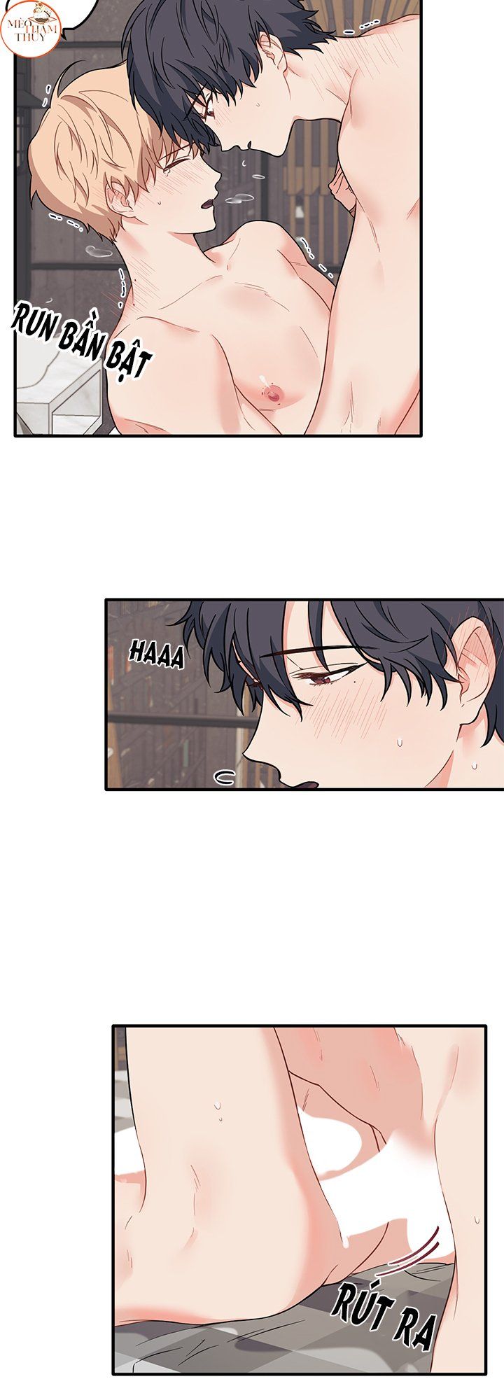 đọc truyện Máu Và Tình Yêu Chương 25 ảnh 11 tại Thiên Thai Truyện