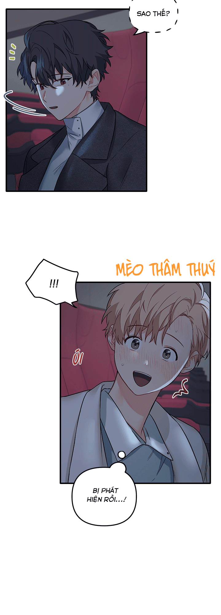 đọc truyện Máu Và Tình Yêu Chương 26 ảnh 6 tại Thiên Thai Truyện