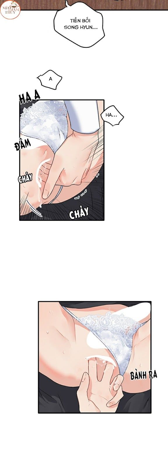 đọc truyện Máu Và Tình Yêu Chương 33 ảnh 16 tại Thiên Thai Truyện