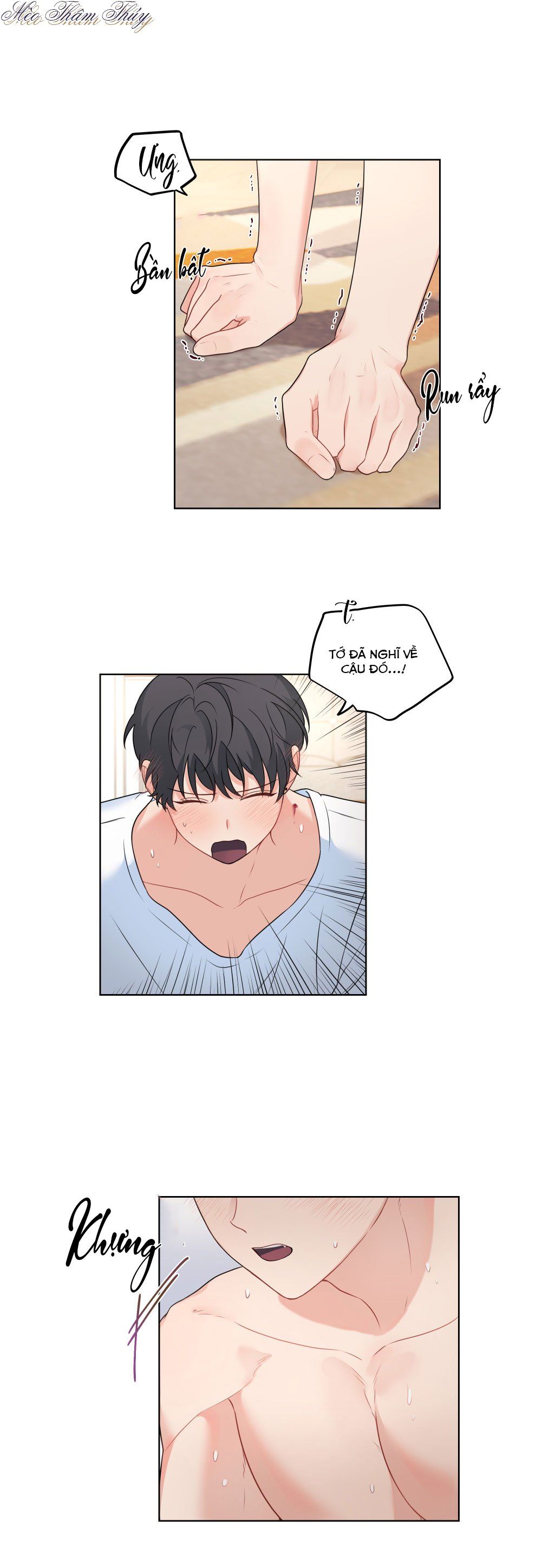 đọc truyện Máu Và Tình Yêu Chương 50 ảnh 14 tại Thiên Thai Truyện