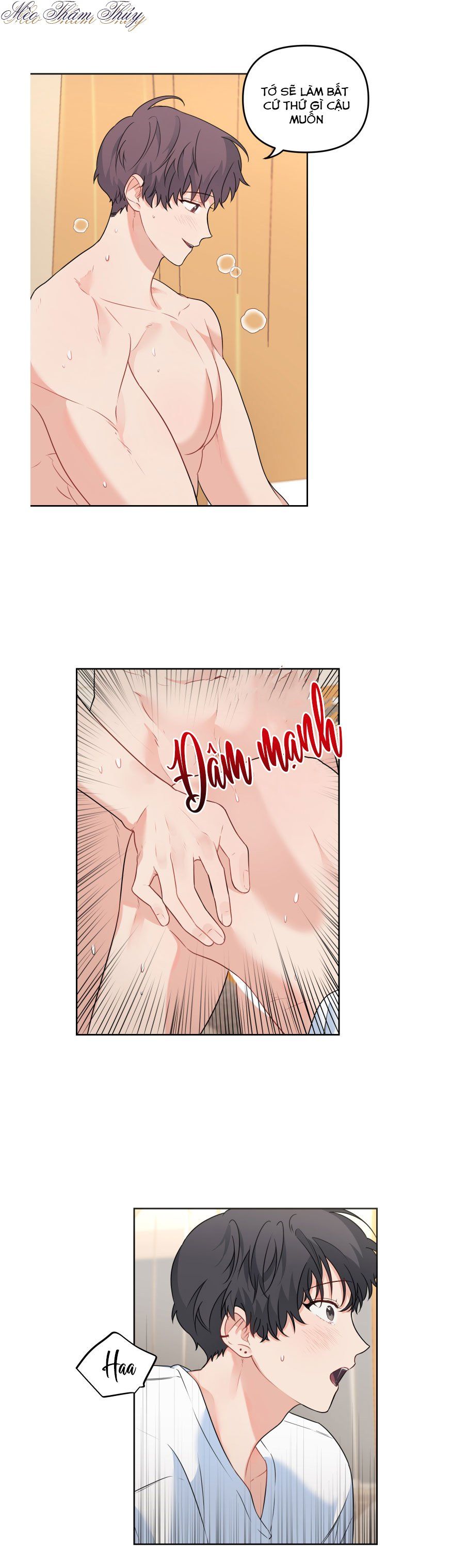 đọc truyện Máu Và Tình Yêu Chương 50 ảnh 6 tại Thiên Thai Truyện