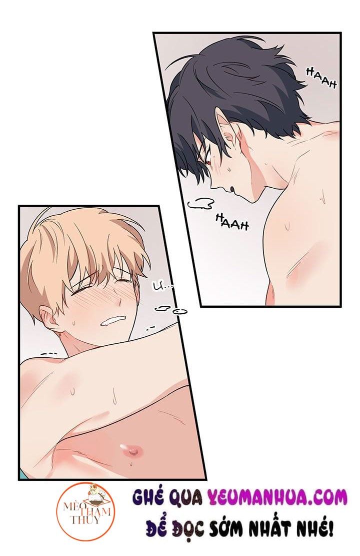 đọc truyện Máu Và Tình Yêu Chương 8 ảnh 15 tại Thiên Thai Truyện