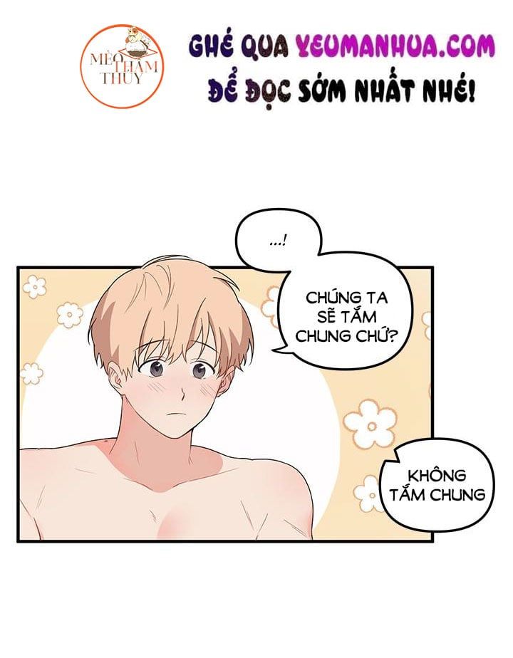 đọc truyện Máu Và Tình Yêu Chương 8 ảnh 20 tại Thiên Thai Truyện