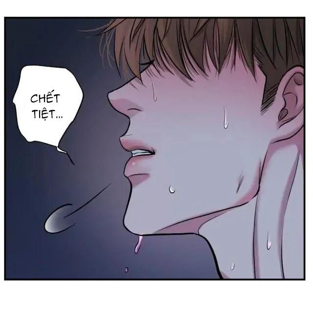 đọc truyện Mày Đã Bao Giờ Chứng Kiến Bạo Lực Học Đường Chưa? Chương 1 ảnh 114 tại Giả Dược