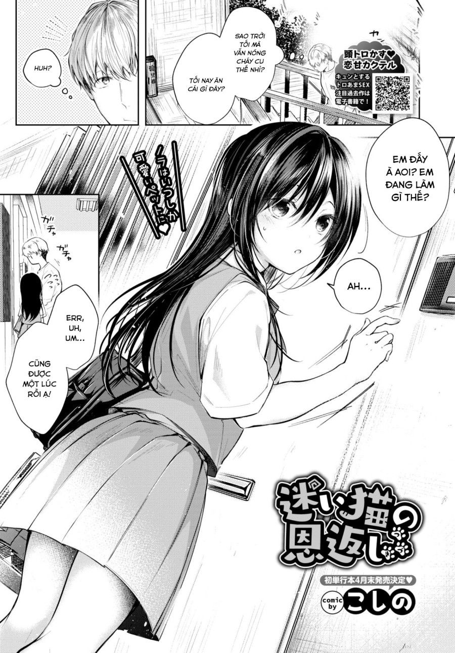 Mayoineko No Ongaeshi Tsuzuki Oneshot page 1 - Giả Dược