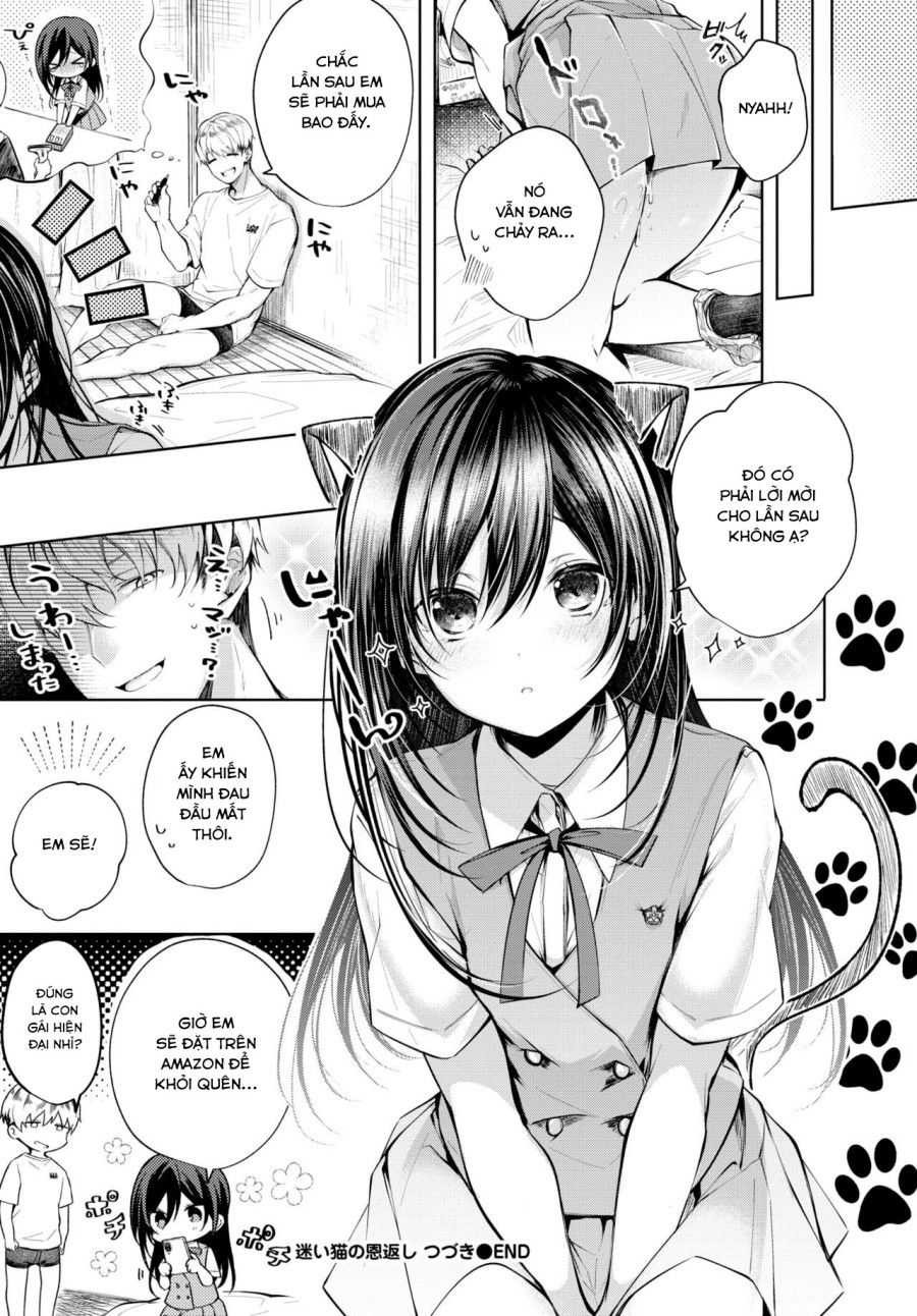 Mayoineko No Ongaeshi Tsuzuki Oneshot page 10 - Giả Dược