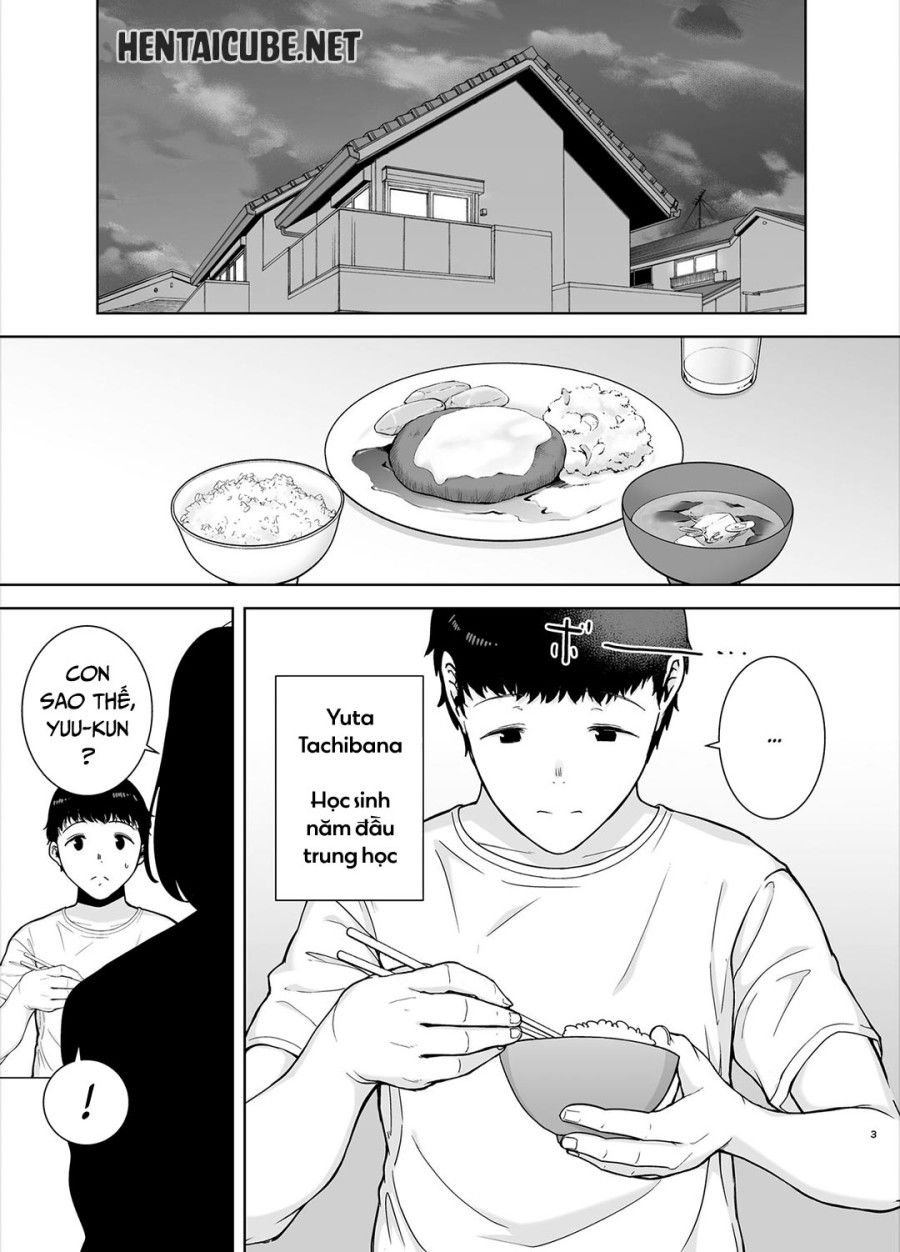 Mẹ Là Người Phụ Nữ Mà Tôi Yêu Chương 1 page 3 - Giả Dược