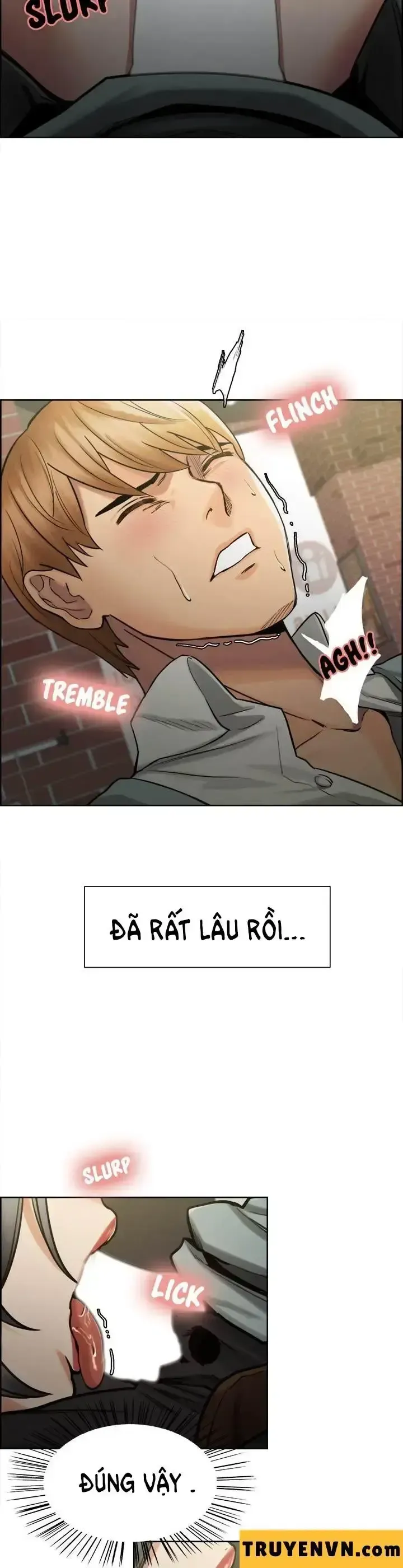 đọc truyện Mẹ Vợ Cũng Là Vợ Tôi Chương 16 ảnh 5 tại Giả Dược