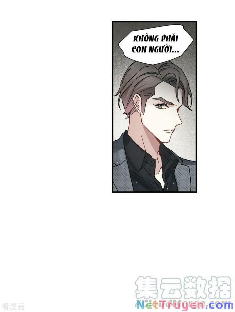 đọc truyện Mejaz - Nhân Gian Ngọc Chương 100 ảnh 26 tại Thiên Thai Truyện