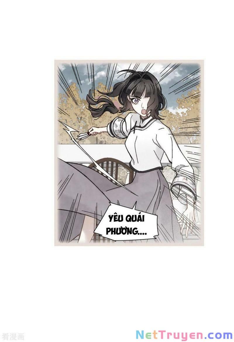 đọc truyện Mejaz - Nhân Gian Ngọc Chương 113 ảnh 11 tại Thiên Thai Truyện