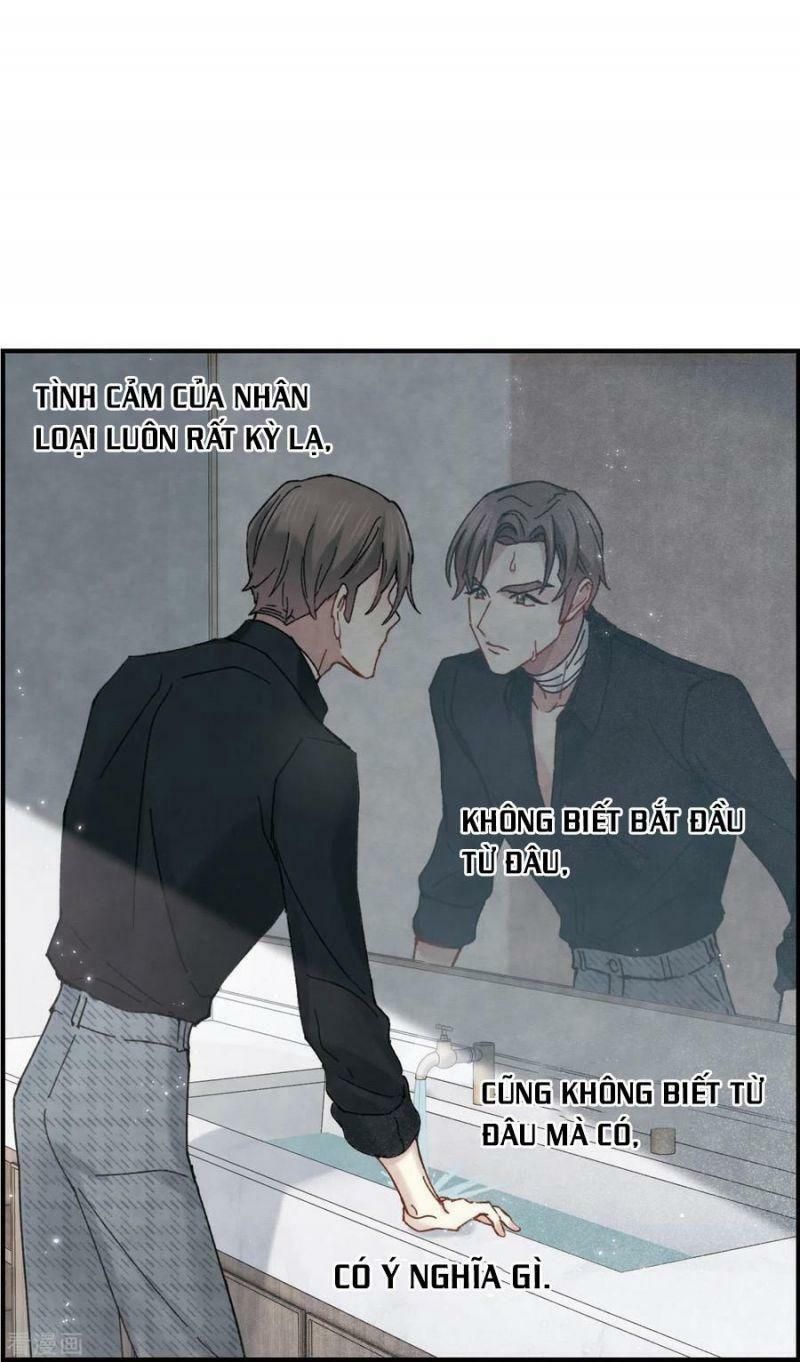 đọc truyện Mejaz - Nhân Gian Ngọc Chương 114 ảnh 18 tại Thiên Thai Truyện