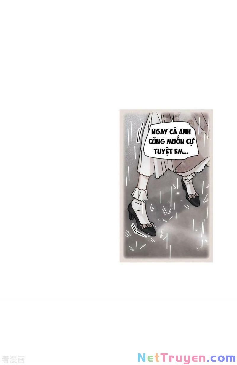 đọc truyện Mejaz - Nhân Gian Ngọc Chương 118 ảnh 5 tại Thiên Thai Truyện