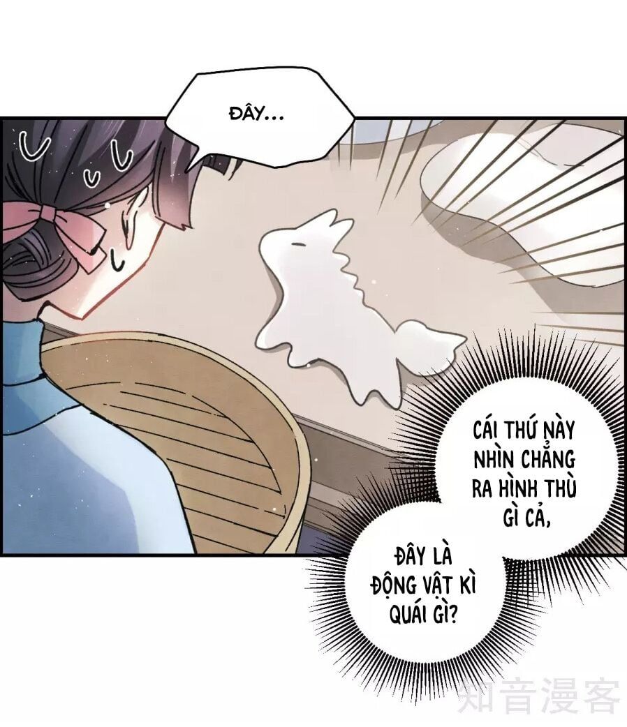 đọc truyện Mejaz - Nhân Gian Ngọc Chương 14 ảnh 14 tại Thiên Thai Truyện