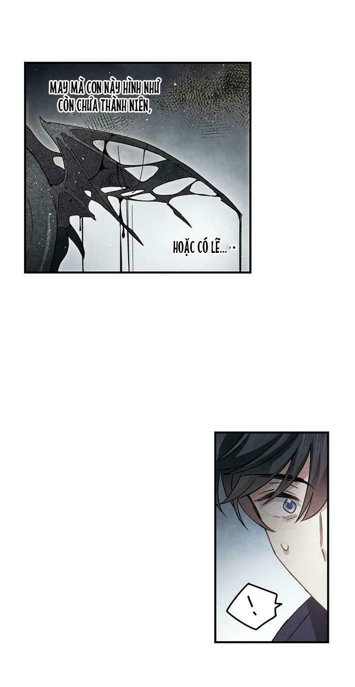 đọc truyện Mejaz - Nhân Gian Ngọc Chương 30 ảnh 7 tại Thiên Thai Truyện