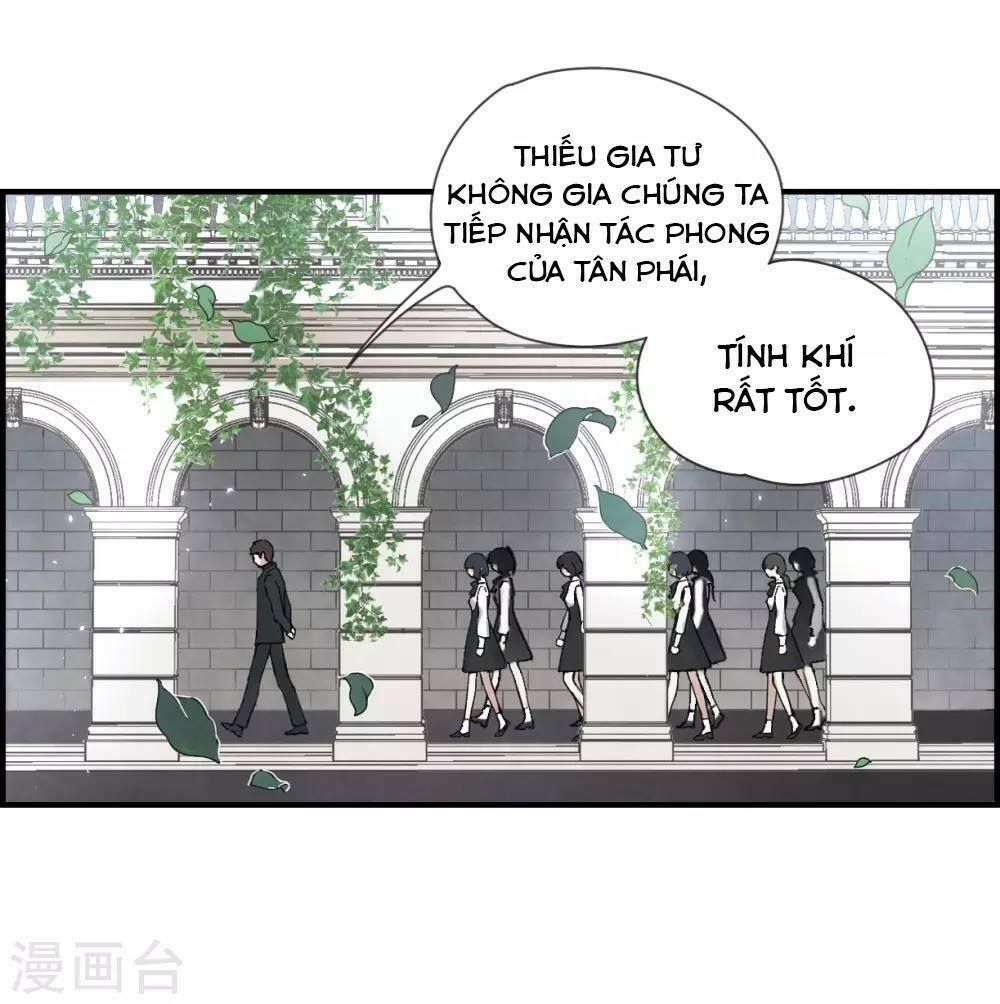 đọc truyện Mejaz - Nhân Gian Ngọc Chương 42 ảnh 18 tại Thiên Thai Truyện