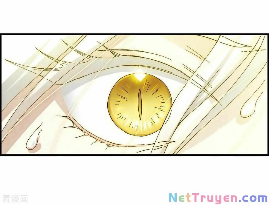 đọc truyện Mejaz - Nhân Gian Ngọc Chương 69 ảnh 21 tại Thiên Thai Truyện