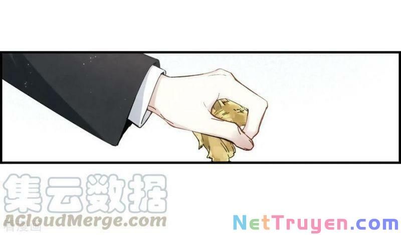 đọc truyện Mejaz - Nhân Gian Ngọc Chương 89 ảnh 17 tại Thiên Thai Truyện