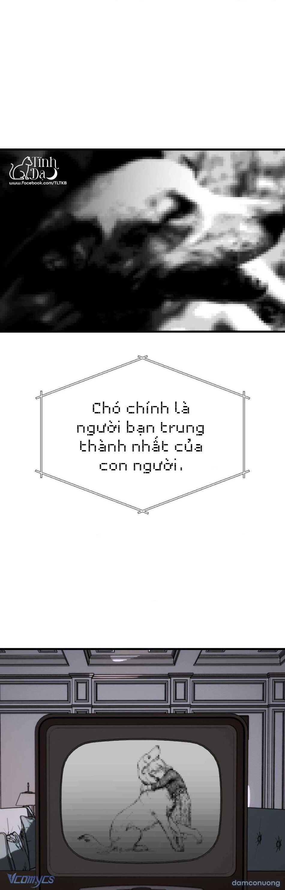 đọc truyện Melt - Phước Lành Chương 40 ảnh 16 tại Thiên Thai Truyện