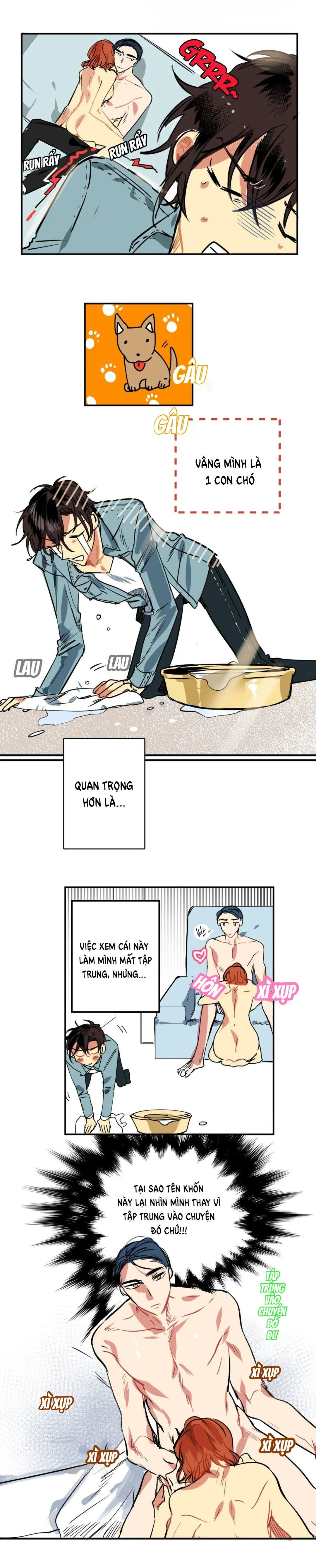 đọc truyện Mệnh Lệnh Chương 2 ảnh 16 tại Truyện Dạ Ký