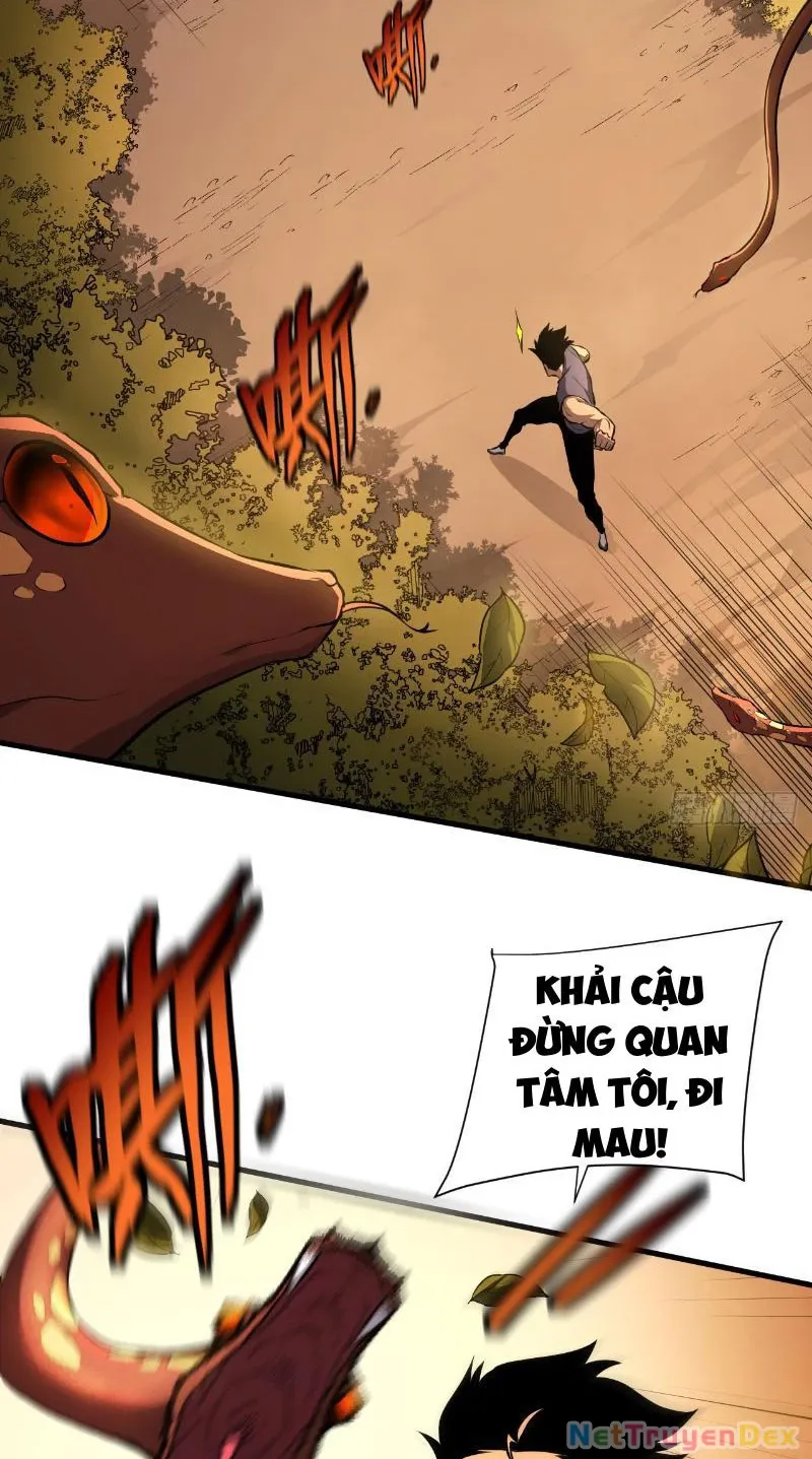 đọc truyện Mệnh Luân Chi Chủ! Khi Dị Biến Giáng Lâm Nhân Gian! Chương 3 ảnh 4 tại Thiên Thai Truyện